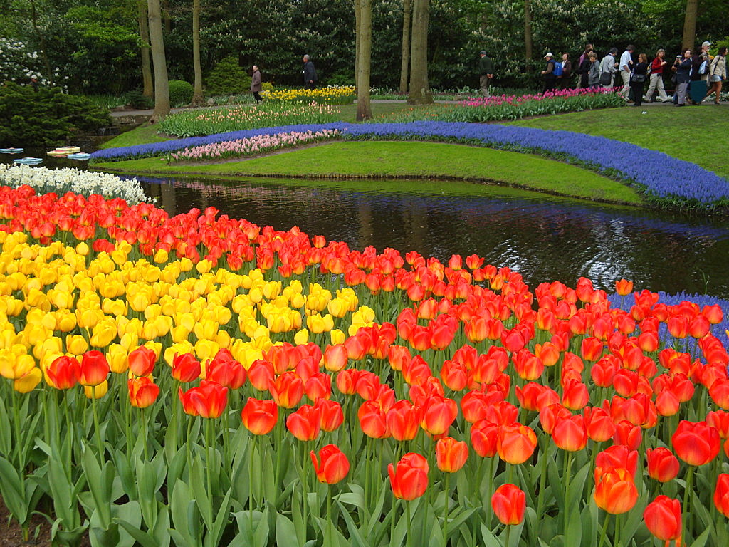  Keukenhof Tulip Gardens